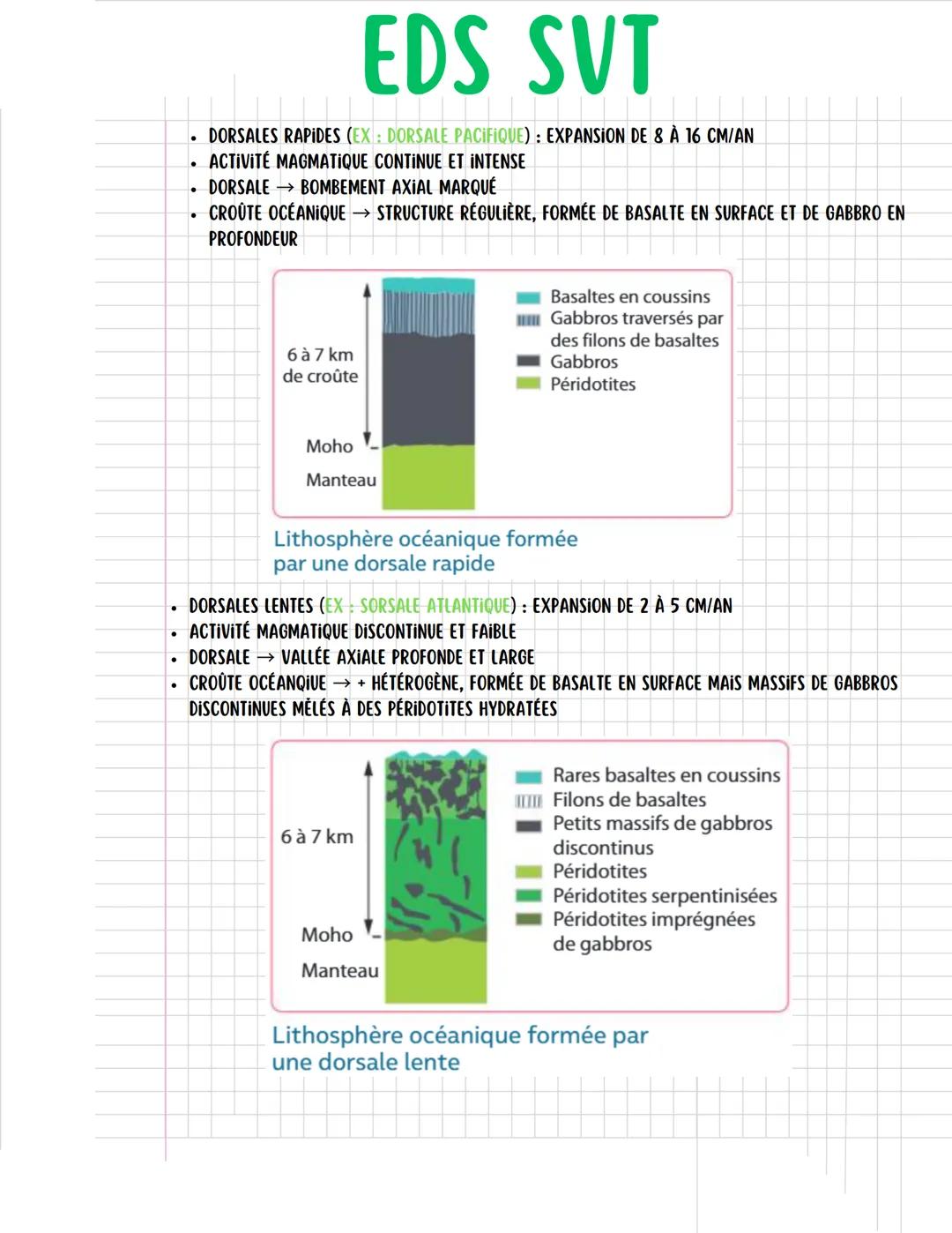 EDS SVT

PARTIE 2 : LA DYNAMIQUE DE LA LITHOSPHÈRE
CHAPITRE 2 : LA DYNAMIQUE DES ZONES DE DIVERGENCE

INTRODUCTION:
- EXPANSION OCÉANIQUE → 
