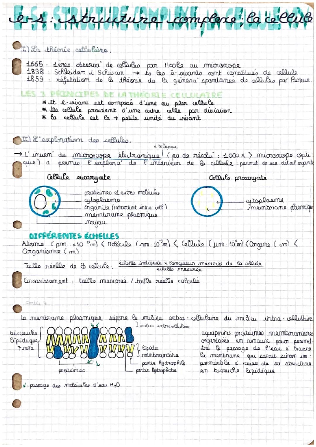 Enseignement scientifique : La cellule, une structure complexe