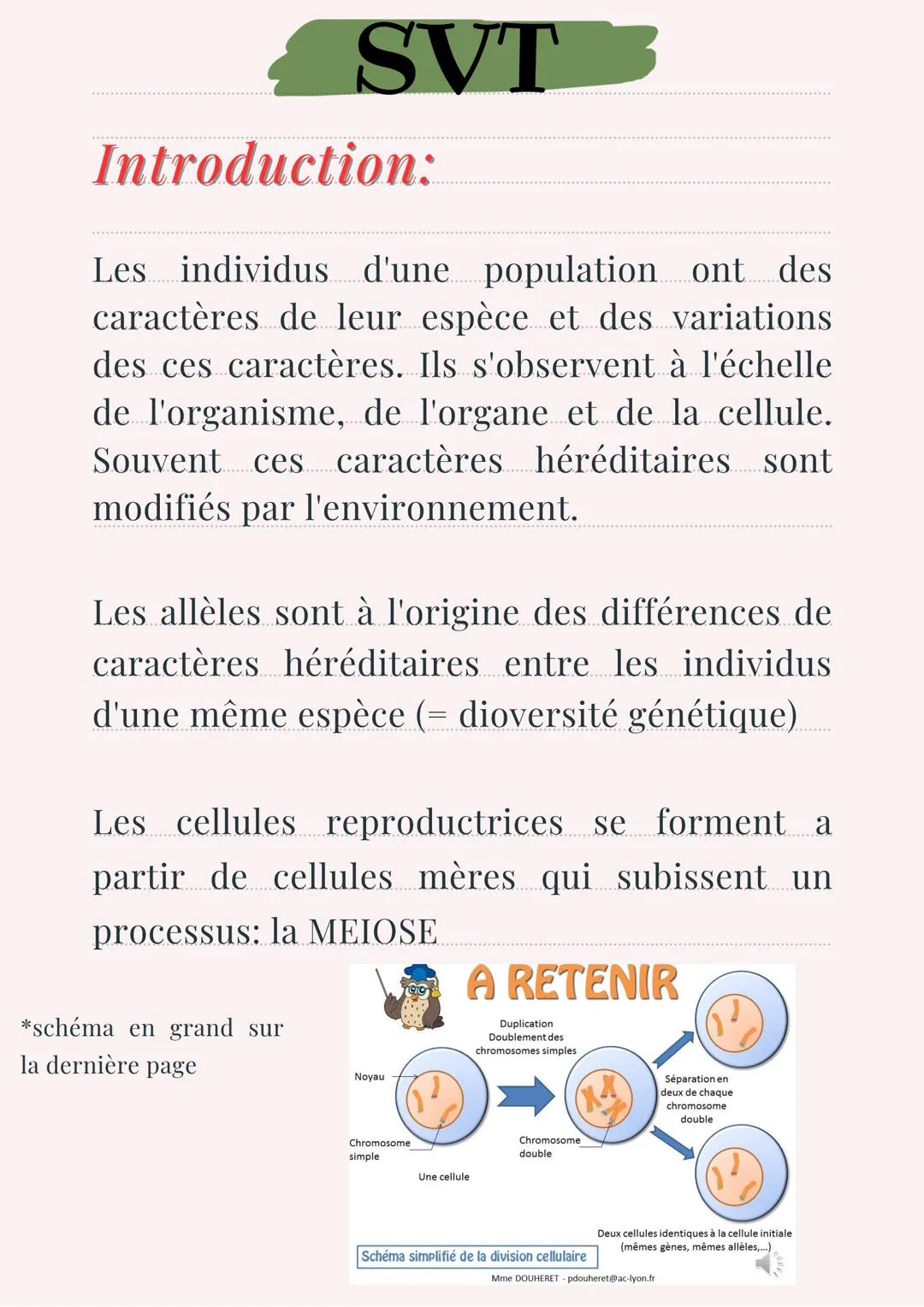 SVT
Introduction:
Les individus d'une population ont des
caractères de leur espèce et des variations
des ces caractères. Ils s'observent à l