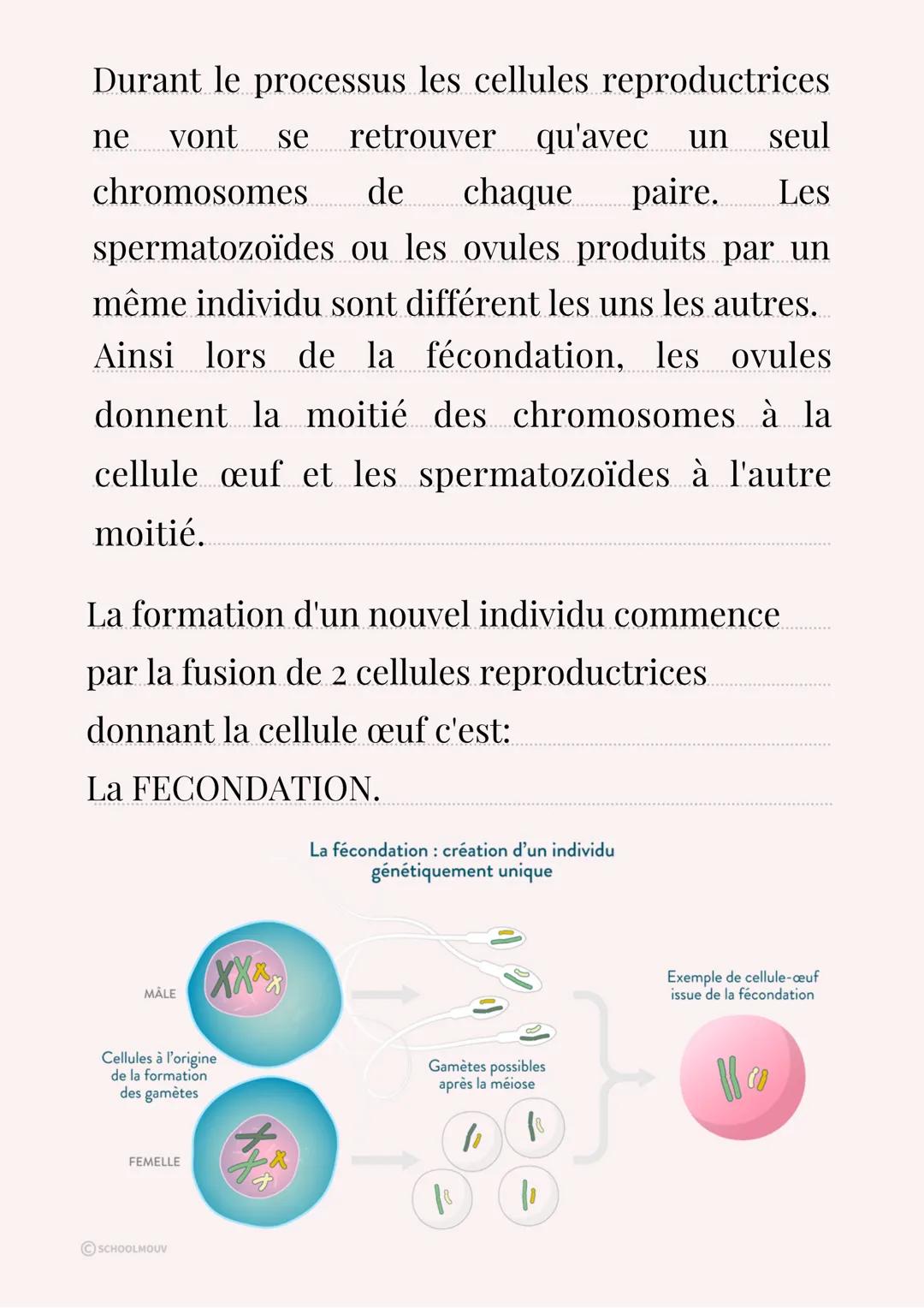 SVT
Introduction:
Les individus d'une population ont des
caractères de leur espèce et des variations
des ces caractères. Ils s'observent à l