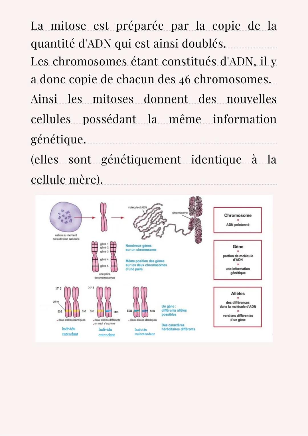 SVT
Introduction:
Les individus d'une population ont des
caractères de leur espèce et des variations
des ces caractères. Ils s'observent à l