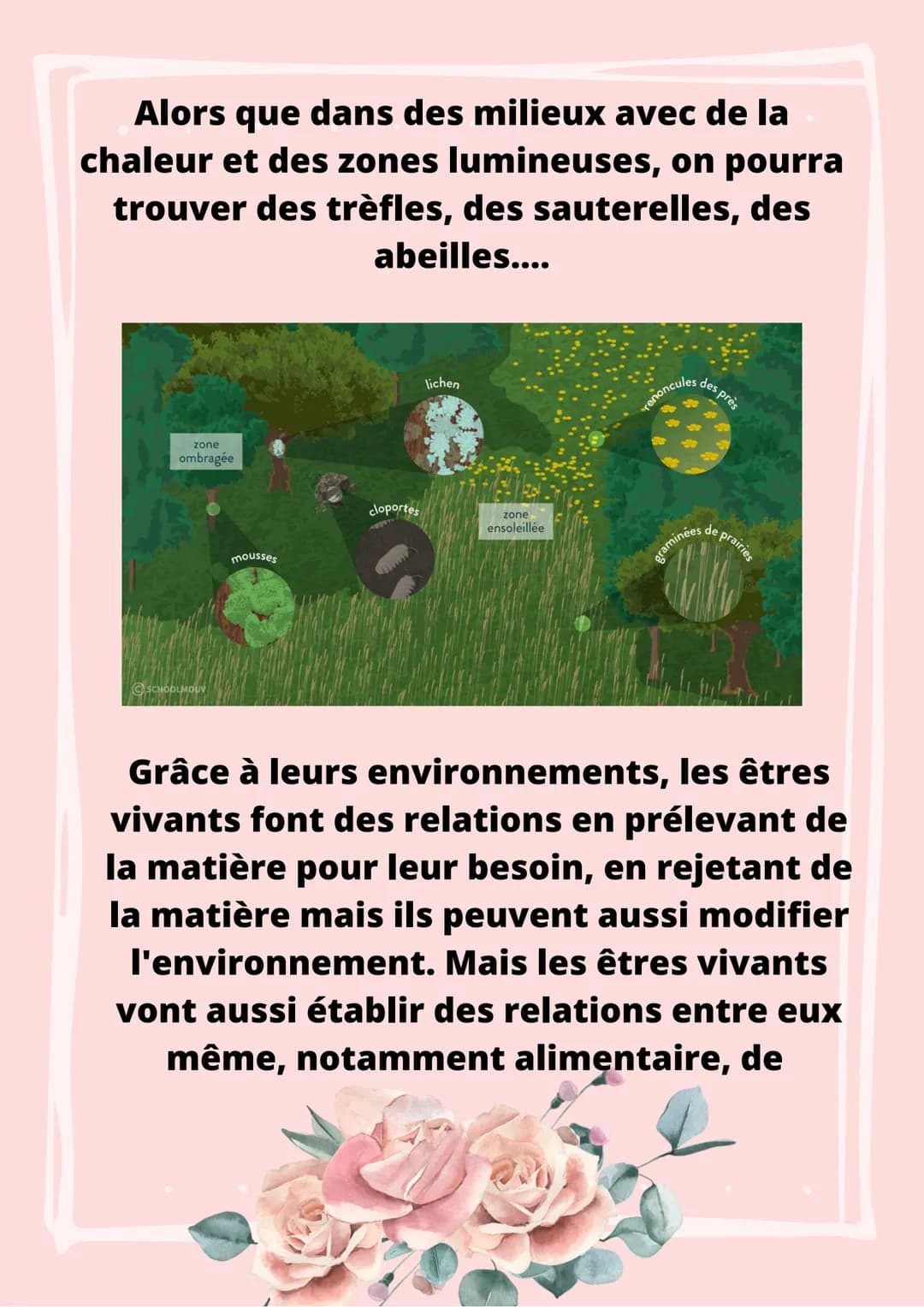 LE PEUPLEMENT D'UN
MILIEU
La Terre est habité de nombreuses espèces
végétales et animales dans des milieux
très variés.
Nous pouvons réalise