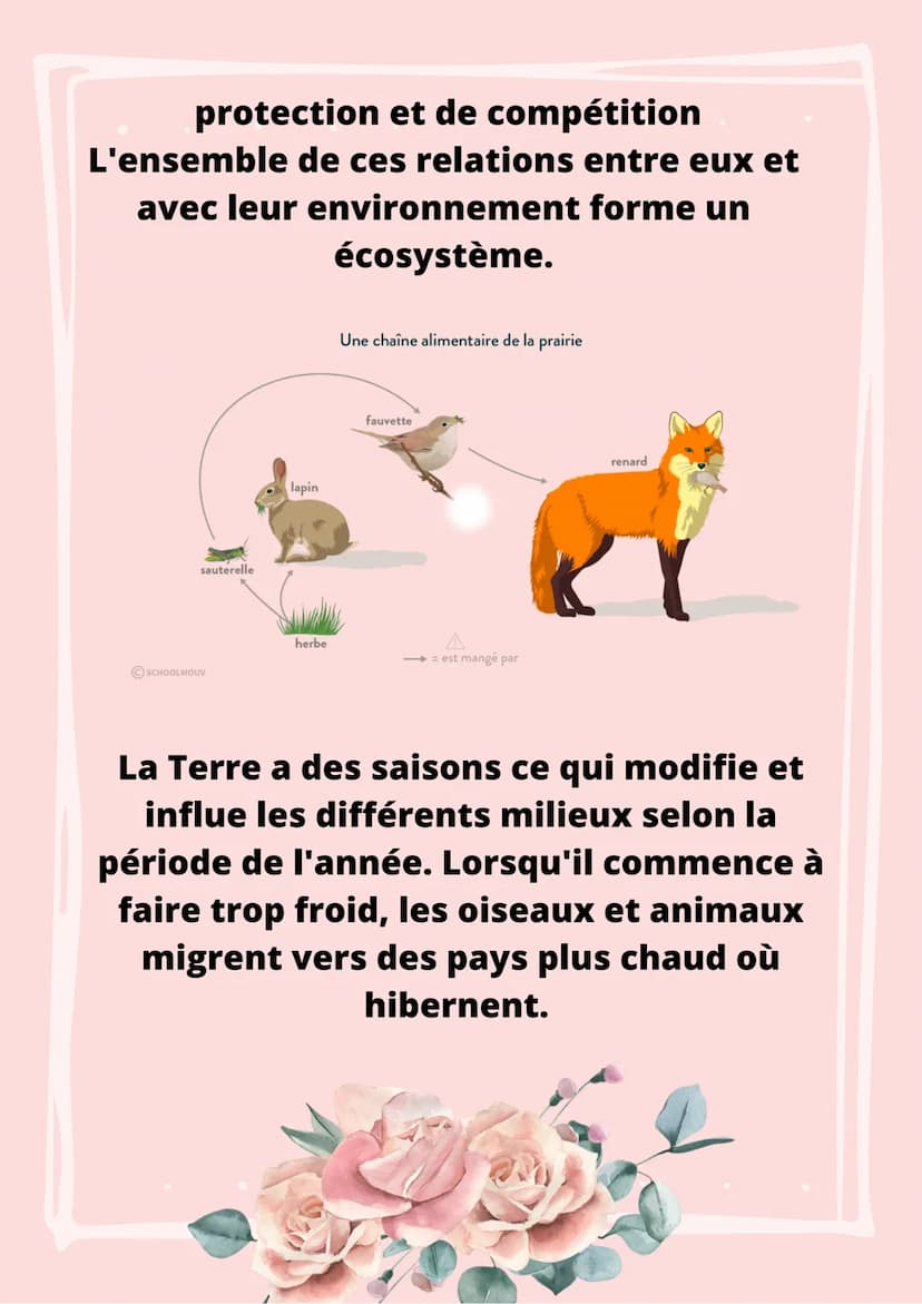 LE PEUPLEMENT D'UN
MILIEU
La Terre est habité de nombreuses espèces
végétales et animales dans des milieux
très variés.
Nous pouvons réalise