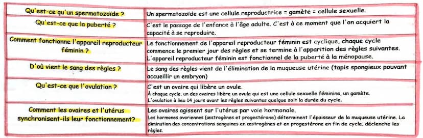 Fiche mémo: devenir capable de se reproduire, la puberté
Qu'est-ce qu'un caractère sexuel primaire ? Particularité présente dès la naissance