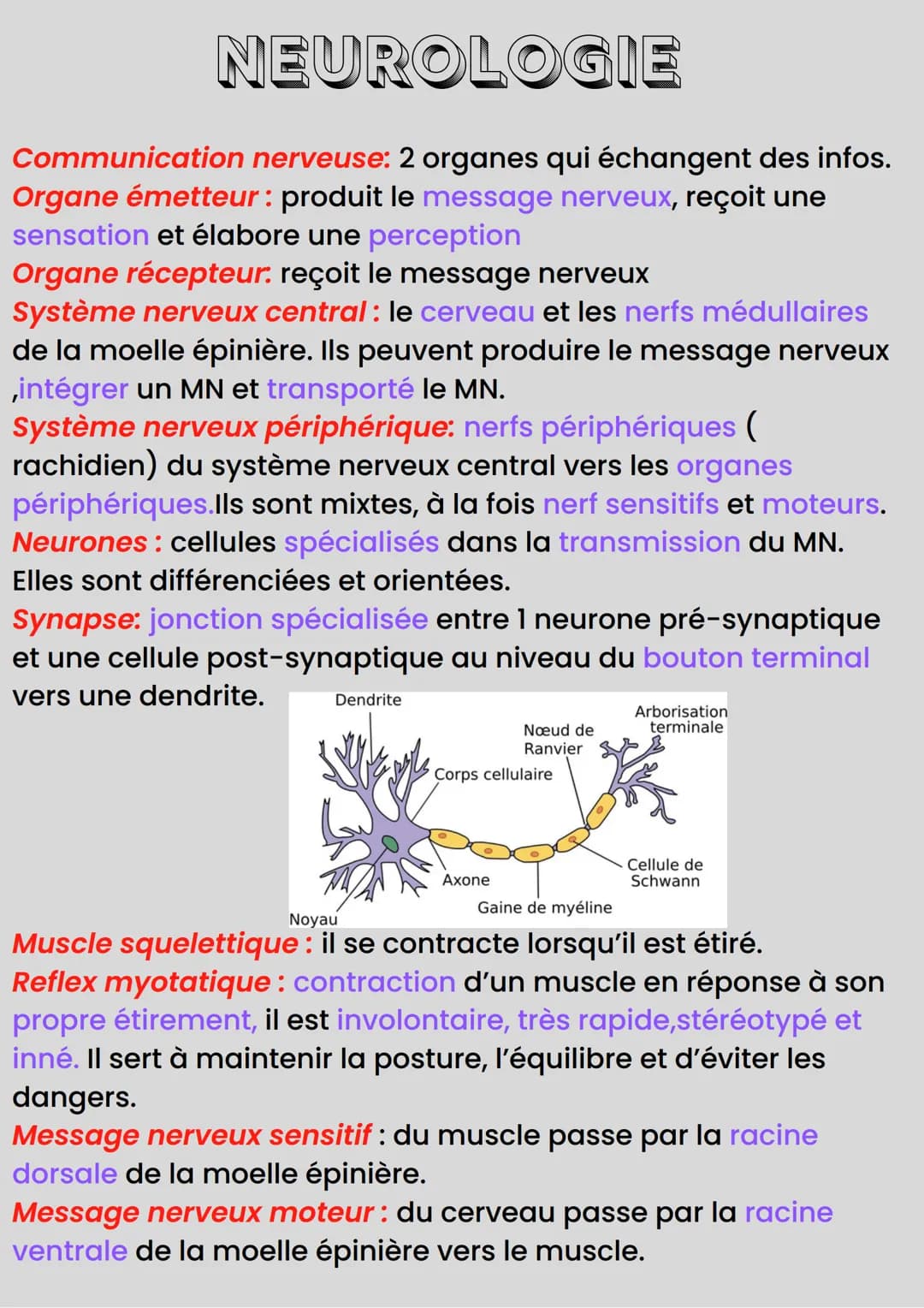NEUROLOGIE
Communication nerveuse: 2 organes qui échangent des infos.
Organe émetteur : produit le message nerveux, reçoit une
sensation et 