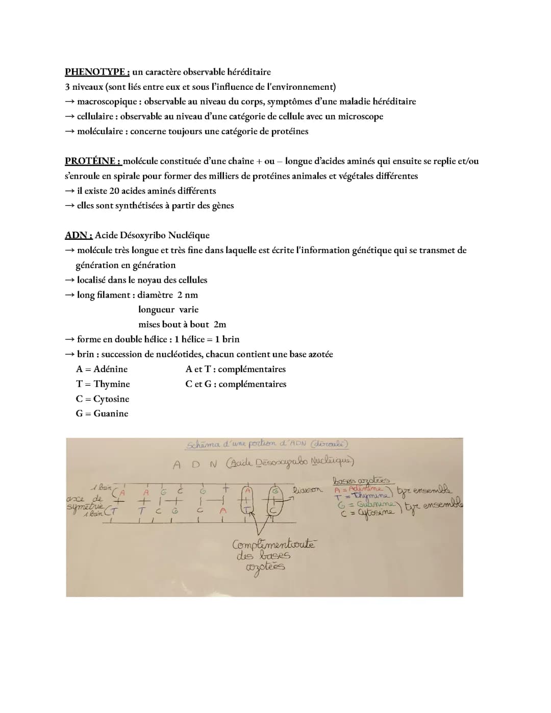 SVT: L'EXPRESSION DU PATRIMOINE GENETIQUE