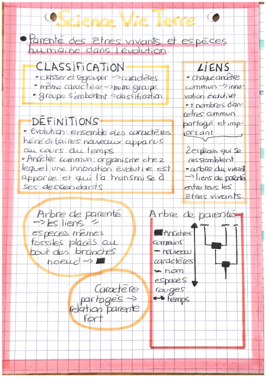 ●Parente des êtres vivants et espèces
humaine dans l'évolution.
CLASSIFICATION
• classer et regrouper -caraderes
• même caractère-mome group