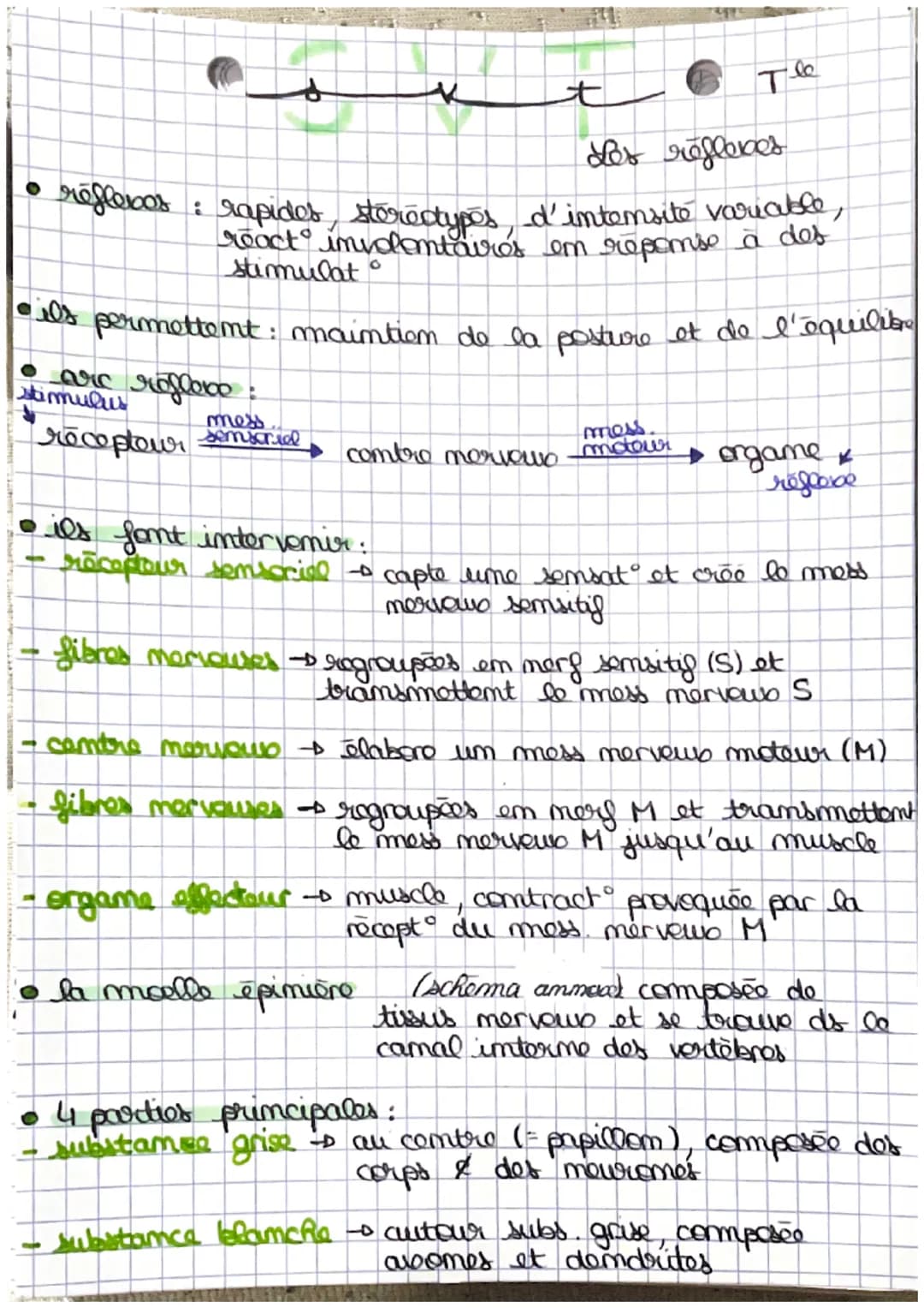 •
mess
receptour sensorial
-
t
Les reflexes
reflexos : rapides stereotypes d'intensite variable,
react involontaires en réponse à des
stimul