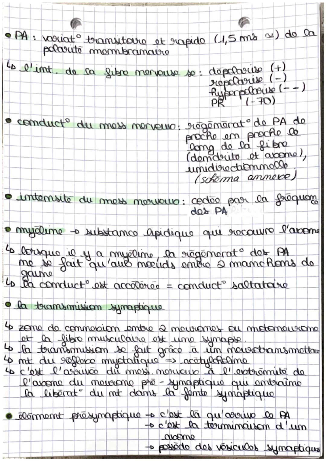 •
mess
receptour sensorial
-
t
Les reflexes
reflexos : rapides stereotypes d'intensite variable,
react involontaires en réponse à des
stimul