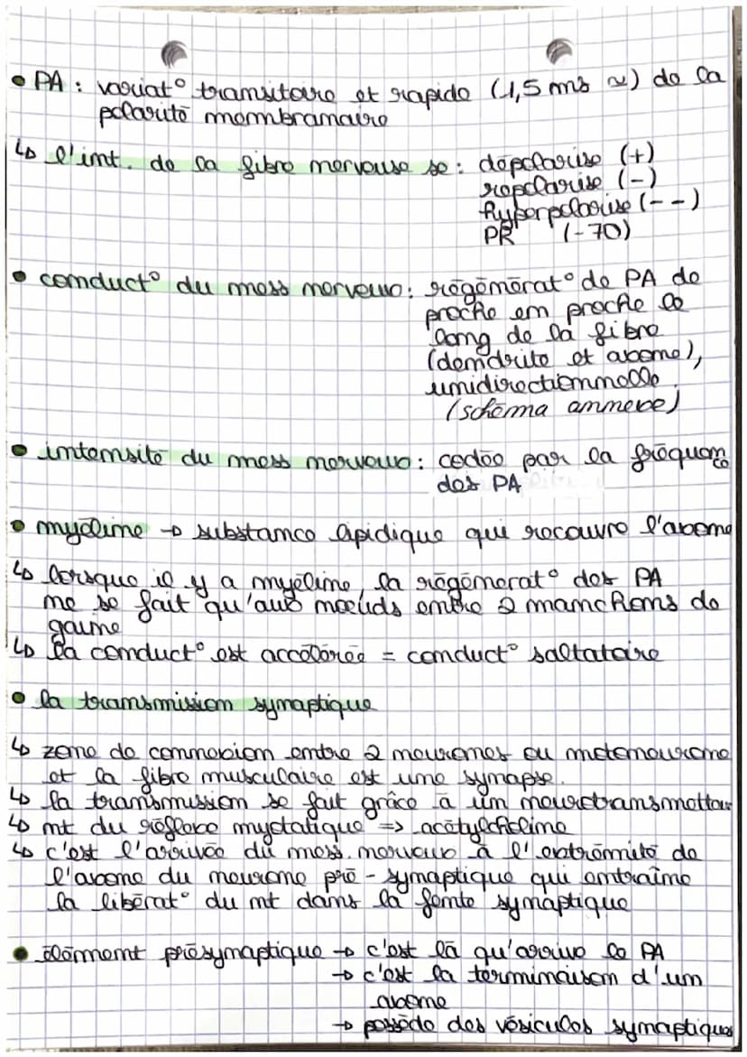 •
mess
receptour sensorial
-
t
Les reflexes
reflexos : rapides stereotypes d'intensite variable,
react involontaires en réponse à des
stimul