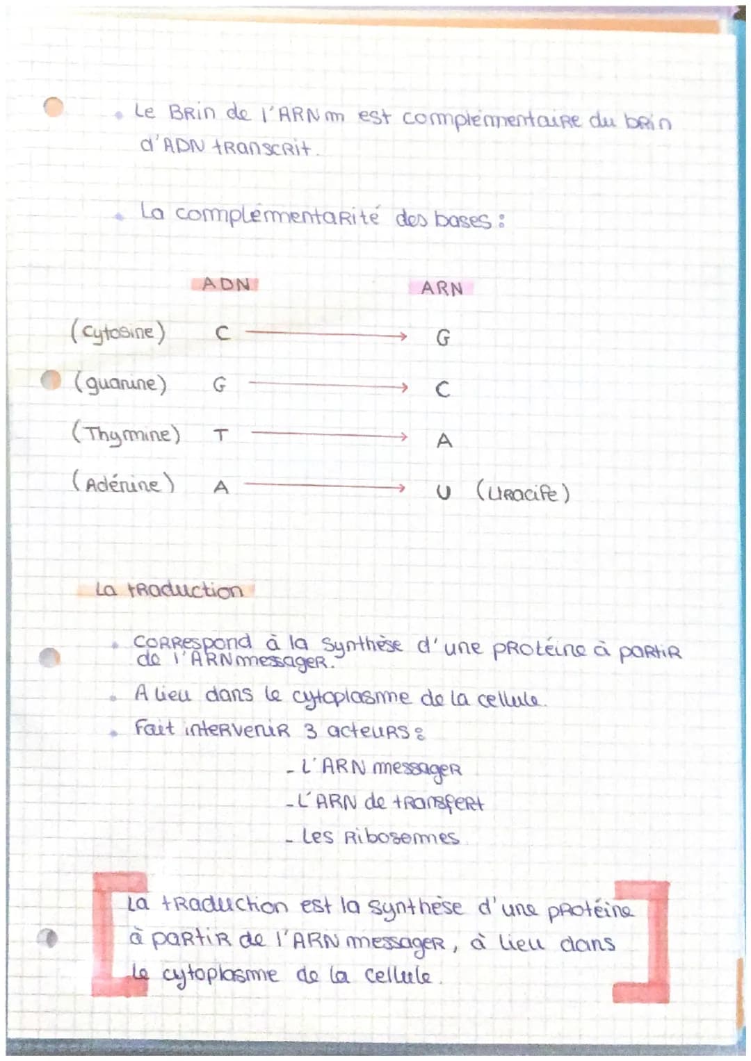 ADN
Genes et transmition de l'information
génétique
ADN = Acide desoxyribonucleique
L'ADN se situe clans le
de cellule
noyou
Responsable cle