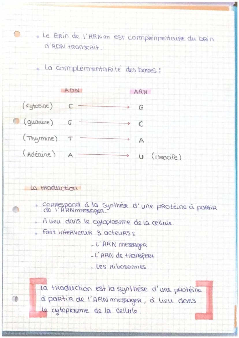 ADN
Genes et transmition de l'information
génétique
ADN = Acide desoxyribonucleique
L'ADN se situe clans le
de cellule
noyou
Responsable cle