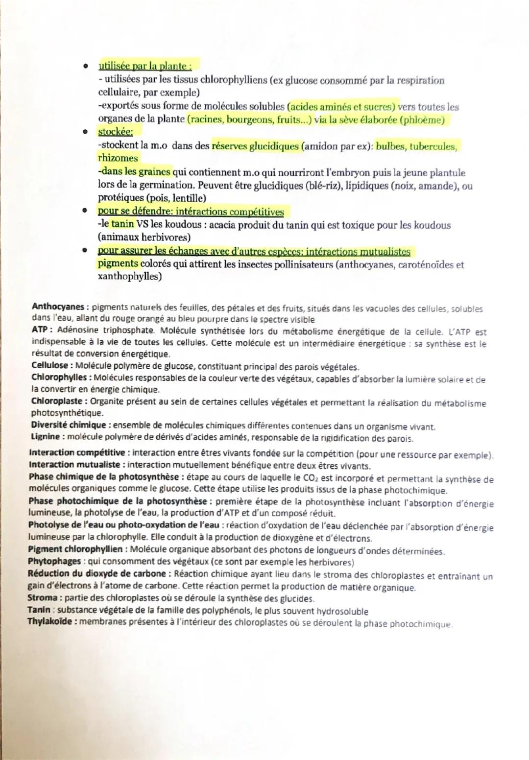 # LA PLANTE PRODUCTRICE DE MATIÈRE

Rappel : les plantes sont des organismes autotrophes : produisent leur propre m.o grâce aux ressources p