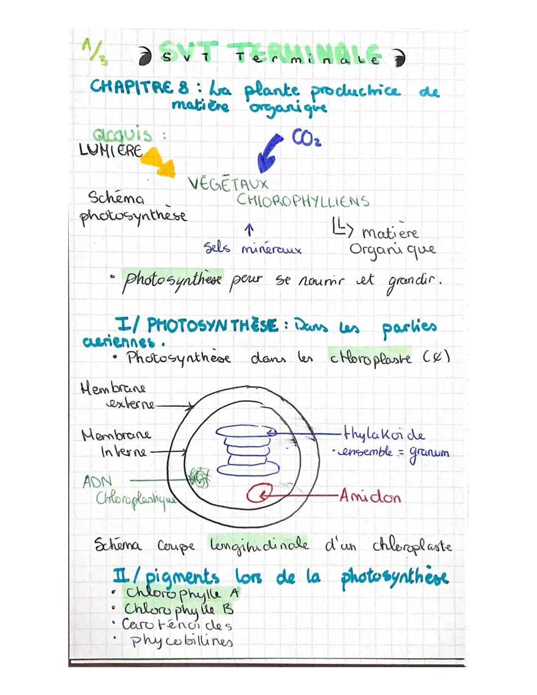 1/₂ EVT TERMINALE
Termina
CHAPITRE 8: a plante productrice de
matière organique
CO₂
acquis
LUMIERE
Schema
photosynthese
LLY matière
Organi q