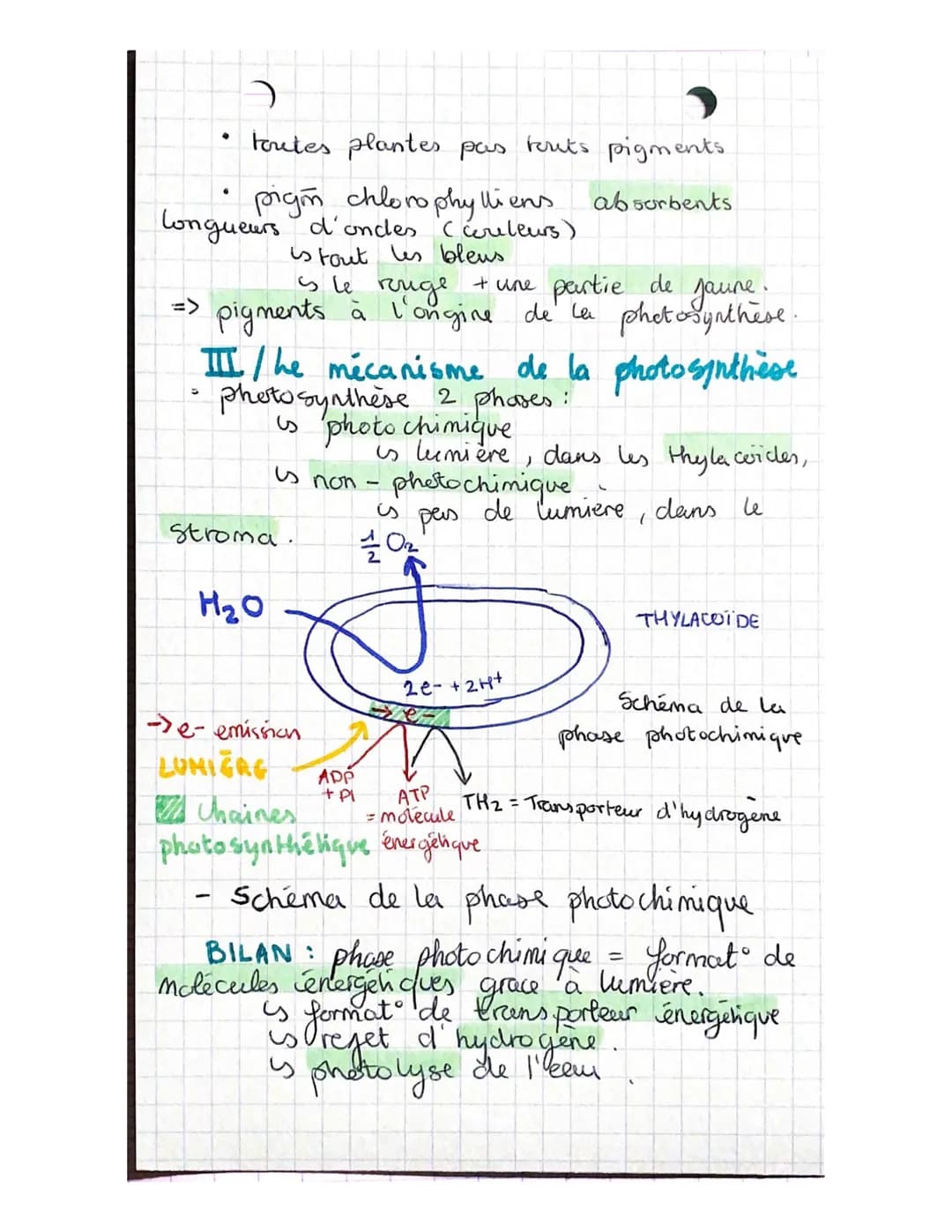 1/₂ EVT TERMINALE
Termina
CHAPITRE 8: a plante productrice de
matière organique
CO₂
acquis
LUMIERE
Schema
photosynthese
LLY matière
Organi q
