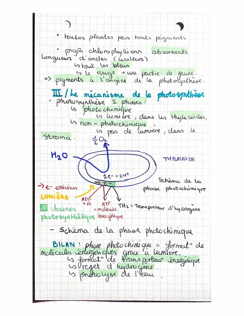 1/₂ EVT TERMINALE
Termina
CHAPITRE 8: a plante productrice de
matière organique
CO₂
acquis
LUMIERE
Schema
photosynthese
LLY matière
Organi q