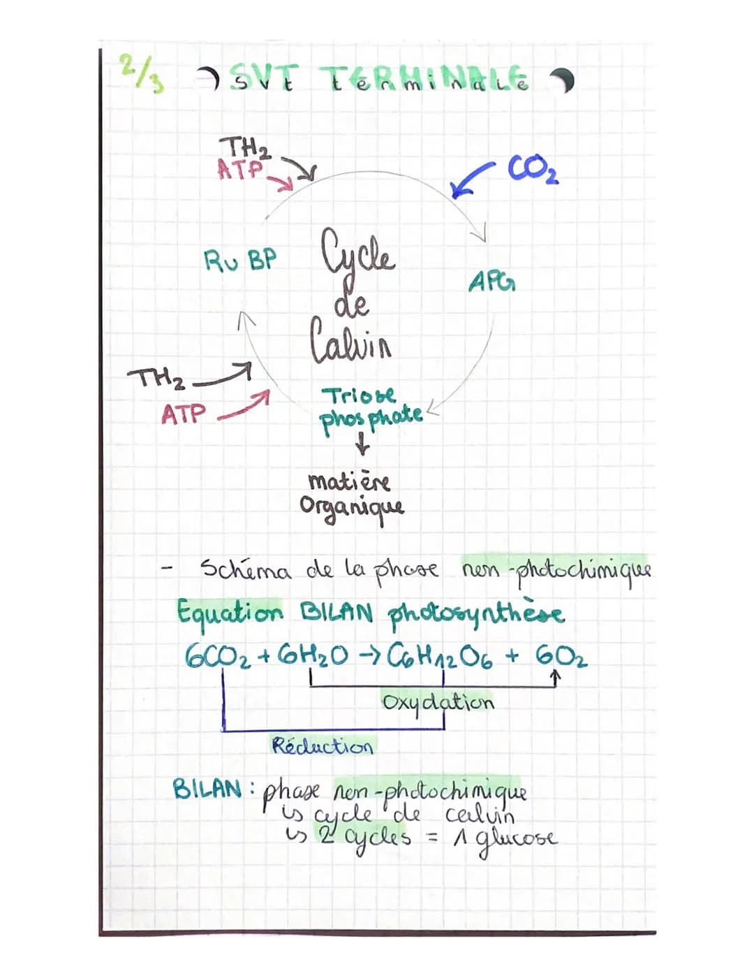 1/₂ EVT TERMINALE
Termina
CHAPITRE 8: a plante productrice de
matière organique
CO₂
acquis
LUMIERE
Schema
photosynthese
LLY matière
Organi q
