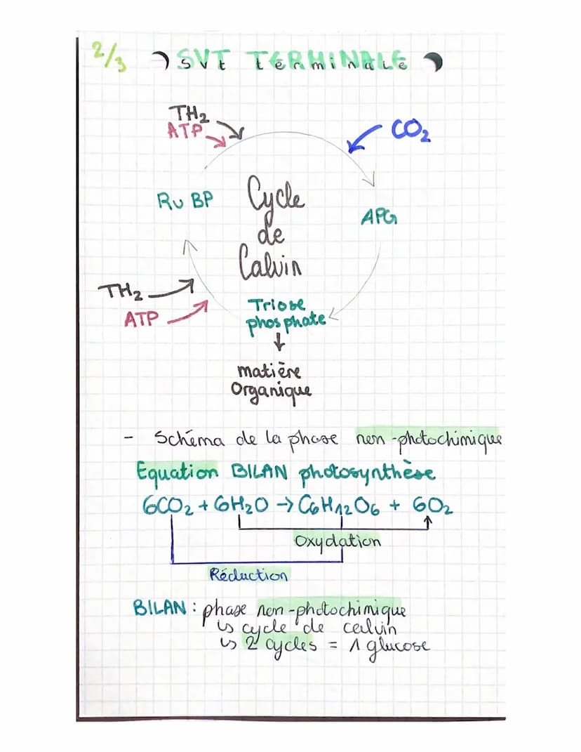 1/₂ EVT TERMINALE
Termina
CHAPITRE 8: a plante productrice de
matière organique
CO₂
acquis
LUMIERE
Schema
photosynthese
LLY matière
Organi q