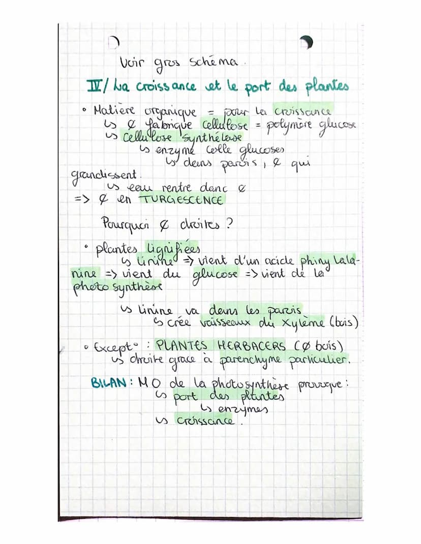 1/₂ EVT TERMINALE
Termina
CHAPITRE 8: a plante productrice de
matière organique
CO₂
acquis
LUMIERE
Schema
photosynthese
LLY matière
Organi q