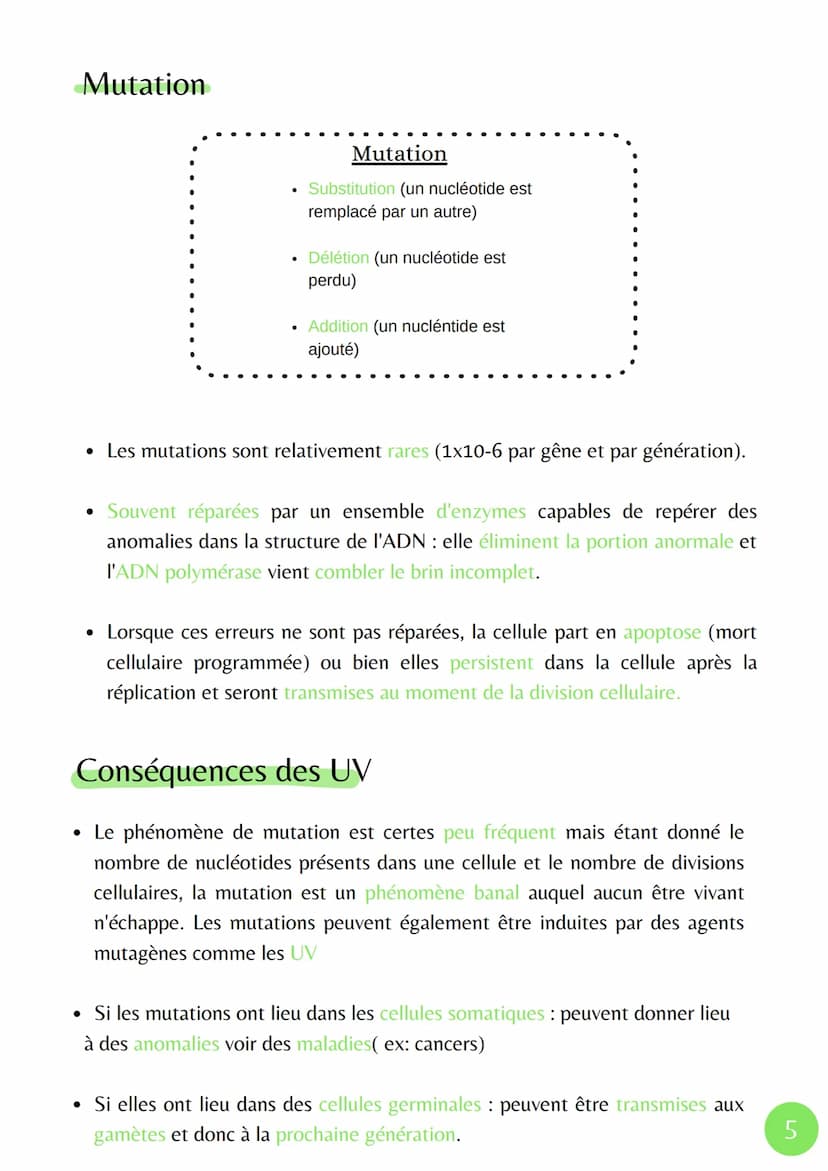 La molécule d'ADN
paire de bases
chromosome à
deux chromatides
identiques
enroulement
de l'ADN en
une chromatide
sut
La réplication de l'ADN