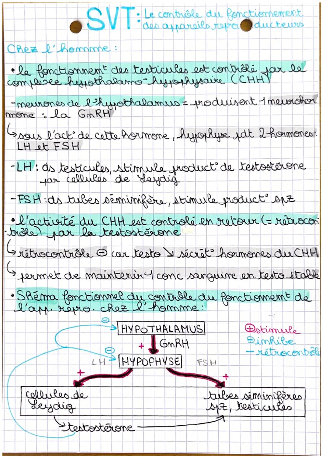 SVT:
• Le contrôle du fonctiomement.
des appareils repra
Iducteurs

Chez l'homme:
•le fonctionnemt des testicules est contrôlé far le
comple