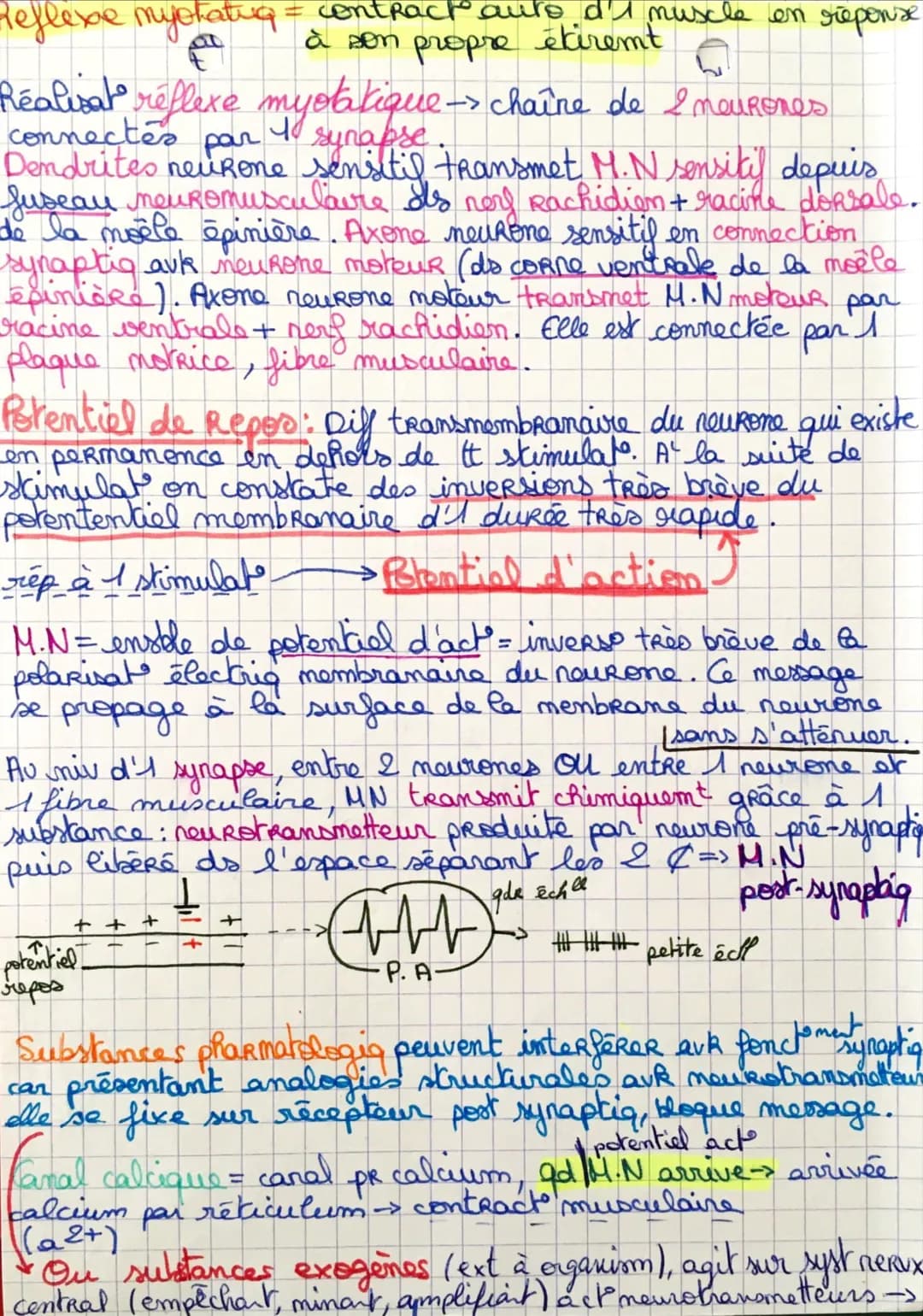 endogene
Stimulus
substance
blanche
contraction muxles &
Coupe transversale moêle épinière:
M
fuseau neuromusculaire
Stimulus
toptouher-and
