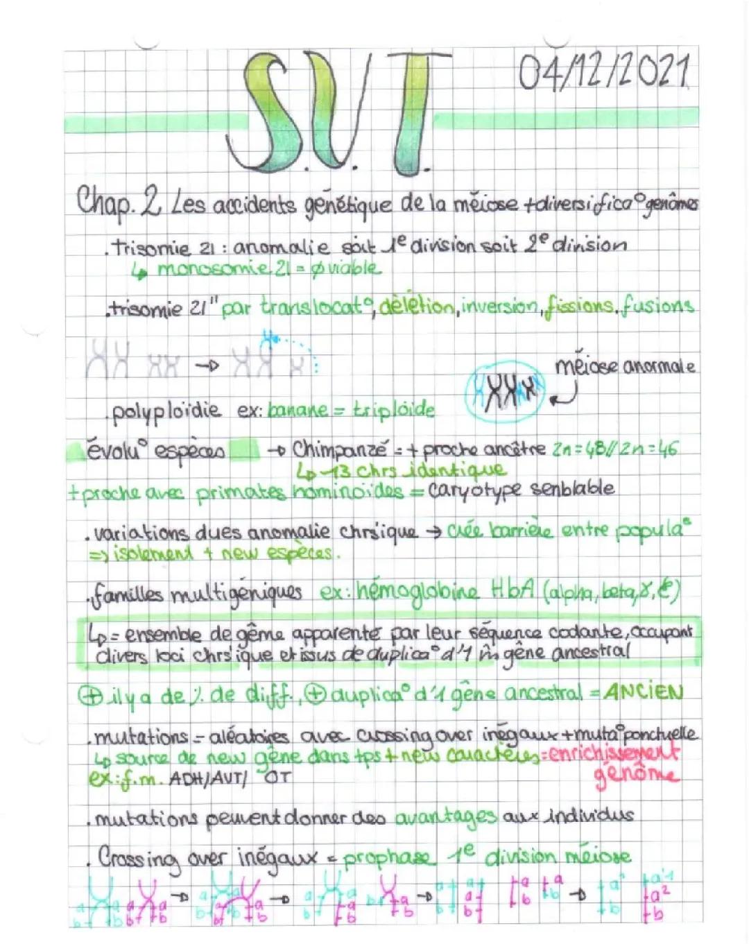 SVT Les accidents génétique de la méiose et diversification des génomes 