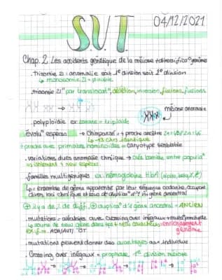Know SVT Les accidents génétique de la méiose et diversification des génomes  thumbnail