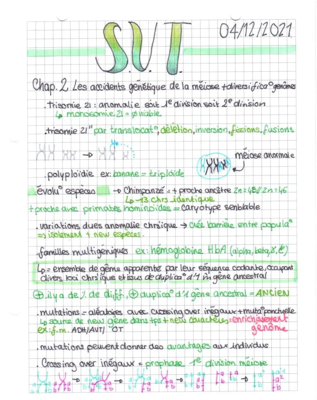 SUT
Chap. 2 Les accidents genétique de la meiose +diversifica genômes
Trisomie 21 anomalie soit le division soit 2° division
4 monosomie 21 