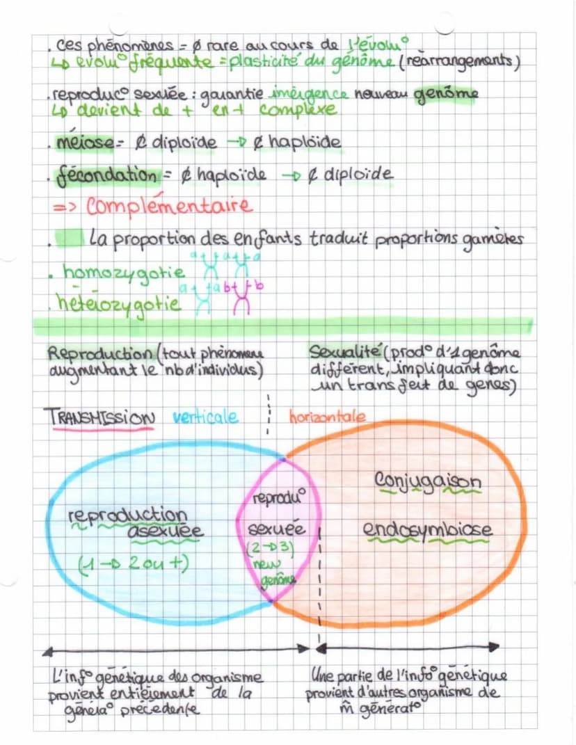 SUT
Chap. 2 Les accidents genétique de la meiose +diversifica genômes
Trisomie 21 anomalie soit le division soit 2° division
4 monosomie 21 