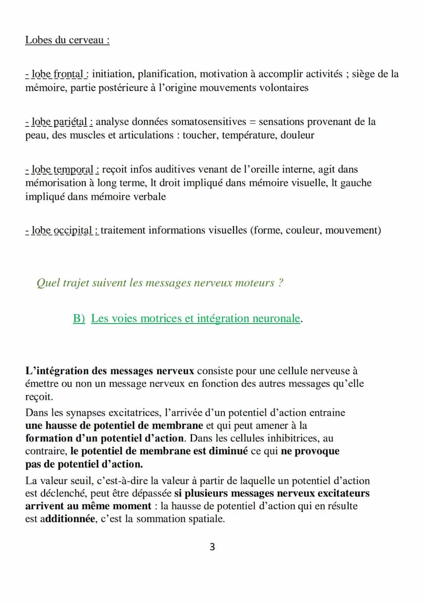 
<h2 id="quellescellulesconstituentlecerveauetquellessontleursfonctions">Quelles cellules constituent le cerveau et quelles sont leurs fonct