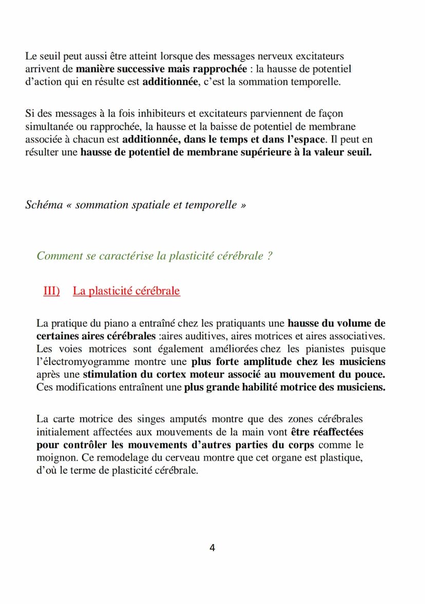 
<h2 id="quellescellulesconstituentlecerveauetquellessontleursfonctions">Quelles cellules constituent le cerveau et quelles sont leurs fonct
