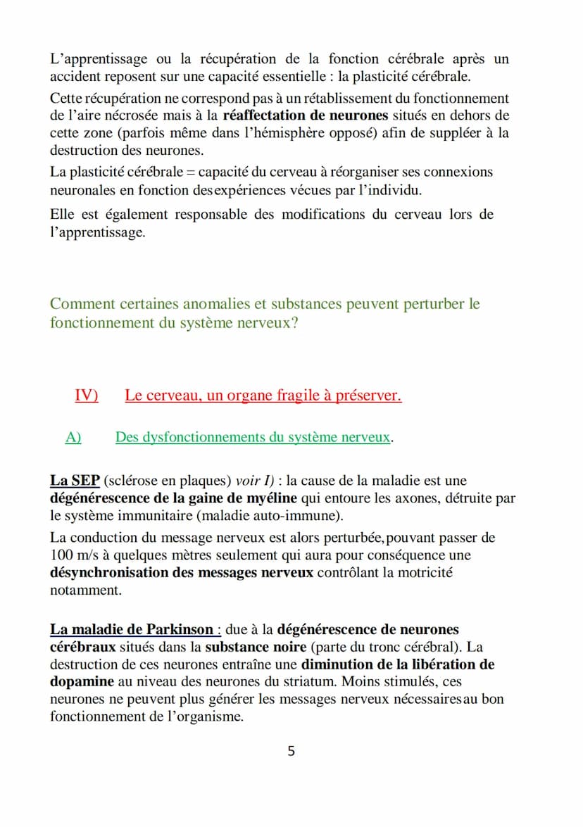 
<h2 id="quellescellulesconstituentlecerveauetquellessontleursfonctions">Quelles cellules constituent le cerveau et quelles sont leurs fonct