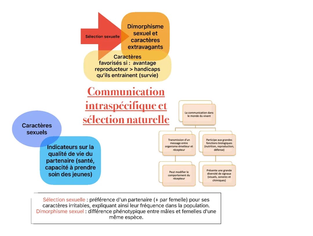 Communication intraspécifique et sélection naturelle