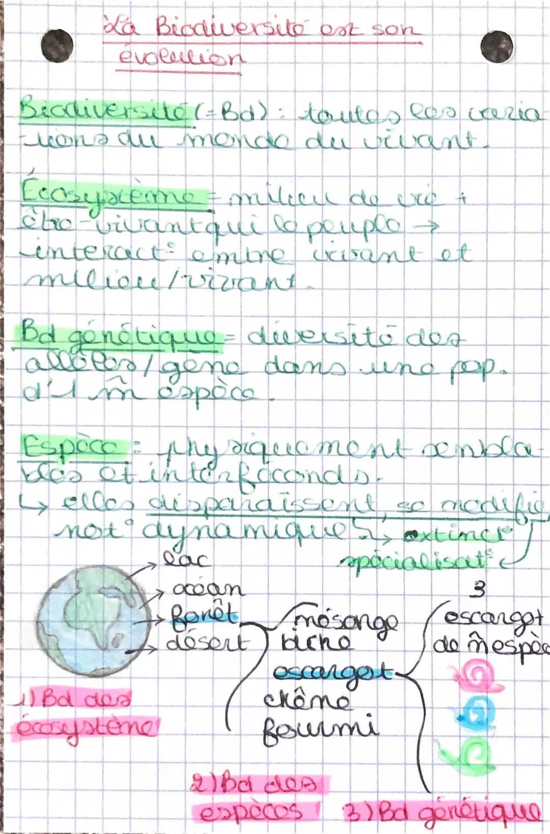 La biodiversité au cours du temps - Évolution et diversité