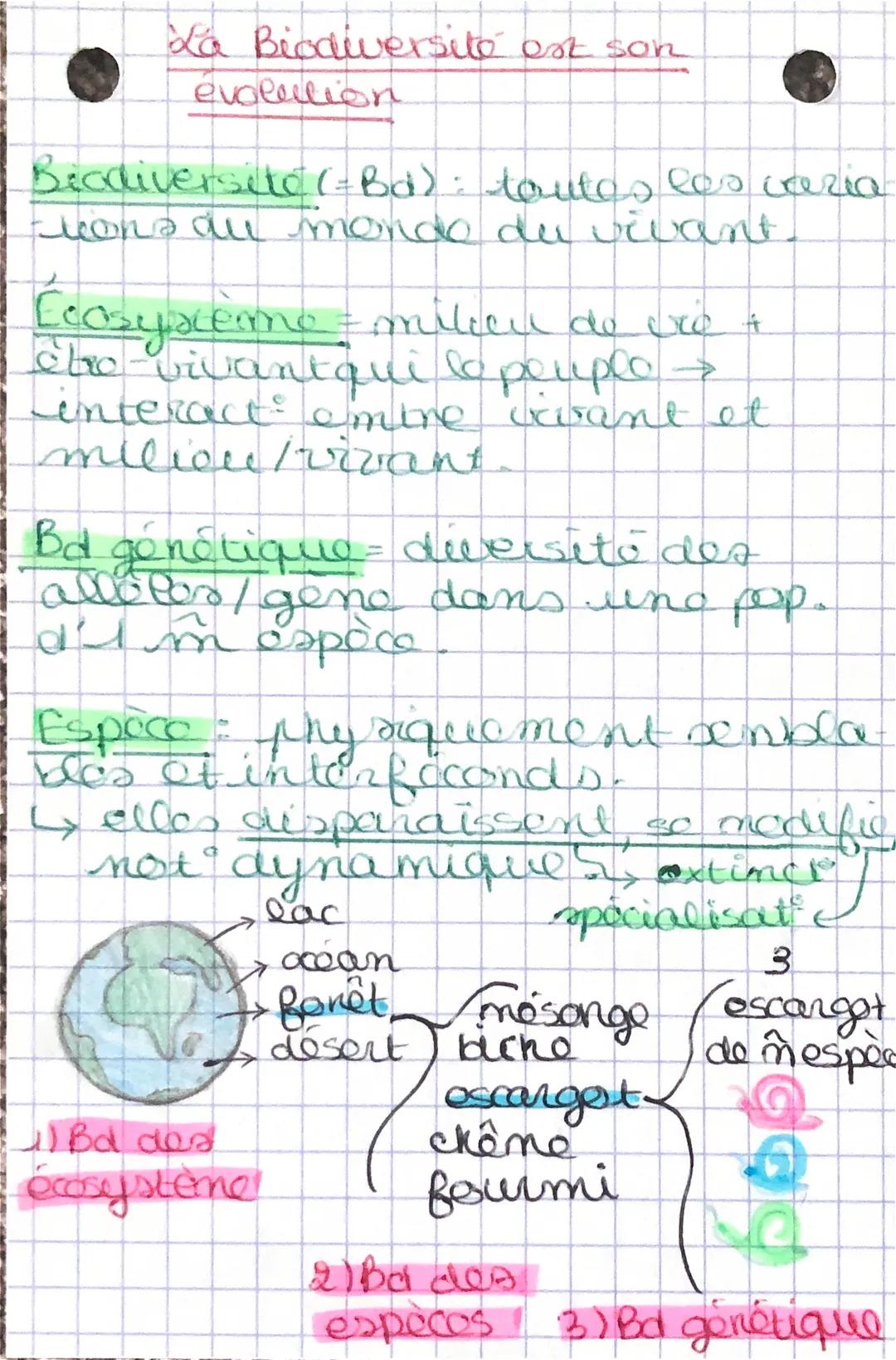 La Biodiversité est son
evolution
Biodiversité (=Bd) : toutes les varia
icons au monde du vivant.
[cosyxème = mileen de vre
che vivantqui le