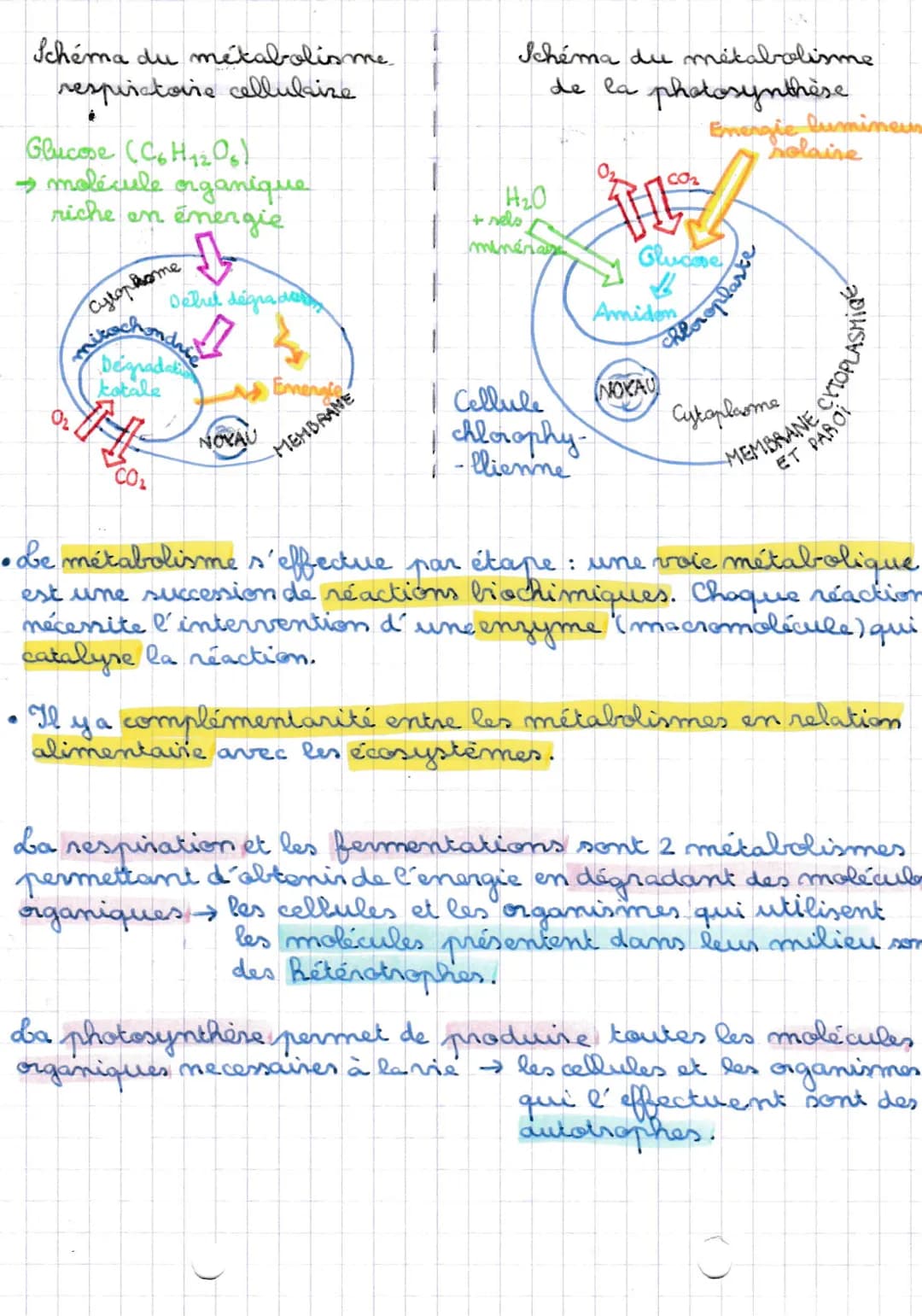 21/11/20
Le métabolisme des.
cellules
METABOLISME ensemble des transformations biochimiques quise
déroulent dans une cellule.
AUTOTROPHE: ca