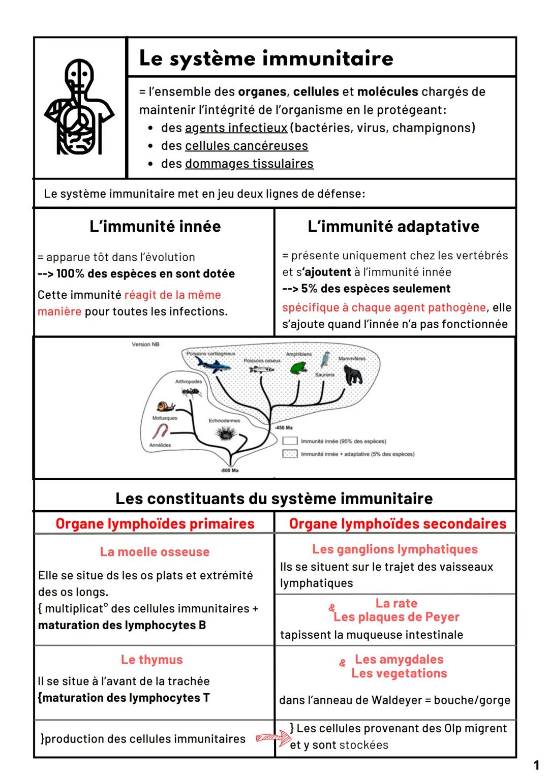 # Le système immunitaire

= l'ensemble des organes, cellules et molécules chargés de
maintenir l'intégrité de l'organisme en le protégeant:
