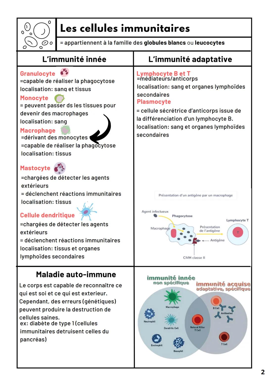 # Le système immunitaire

= l'ensemble des organes, cellules et molécules chargés de
maintenir l'intégrité de l'organisme en le protégeant:
