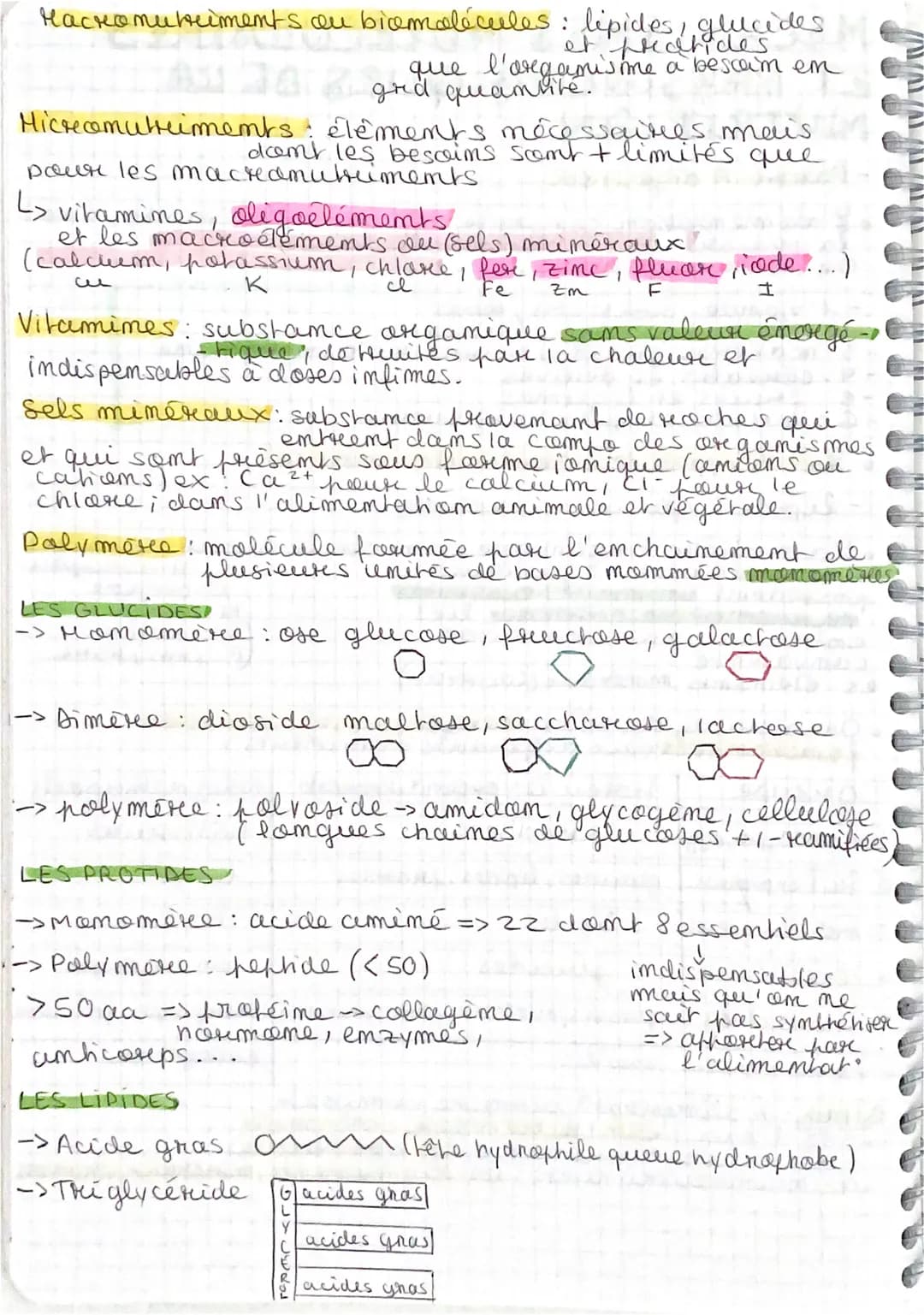 •MECANISMES MOLÉCULAIRES
IT PRHYSIOLOGIQUES DE UA
MUTRITIONL
- Partie A digestion
• L'alimentation comporte diff. grep pie.
la proportion en