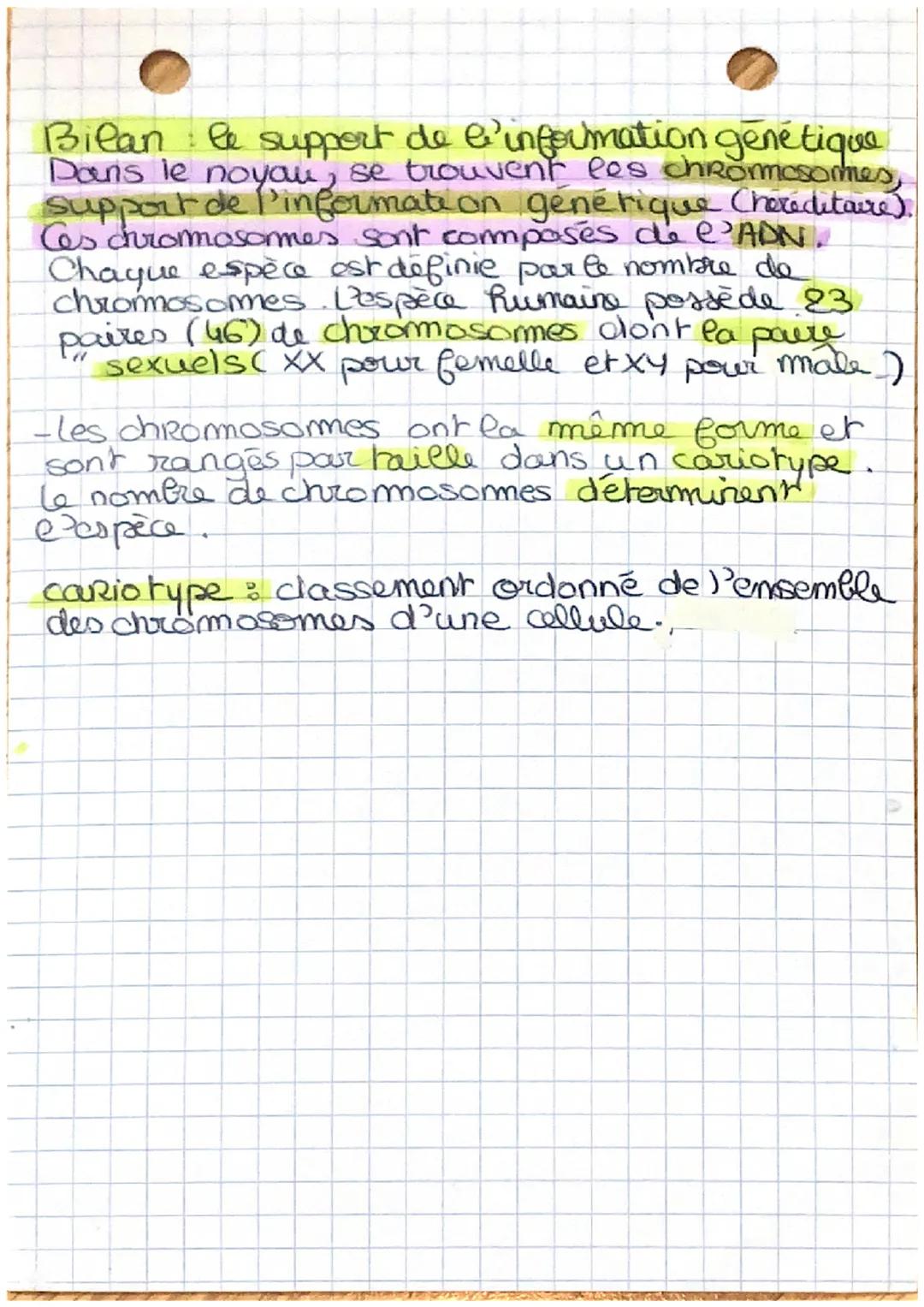 S
T
Chaque individu présente les caractères
de l'espèce avec des variations qui lui
sont propres les caractères. qui se
retrouvent dans les
