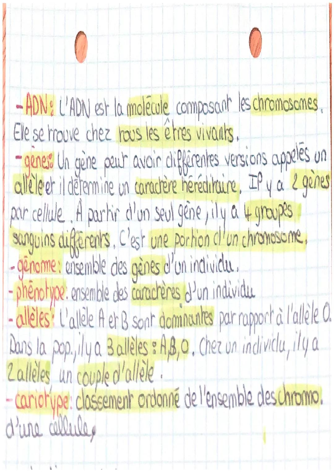 S
T
Chaque individu présente les caractères
de l'espèce avec des variations qui lui
sont propres les caractères. qui se
retrouvent dans les
