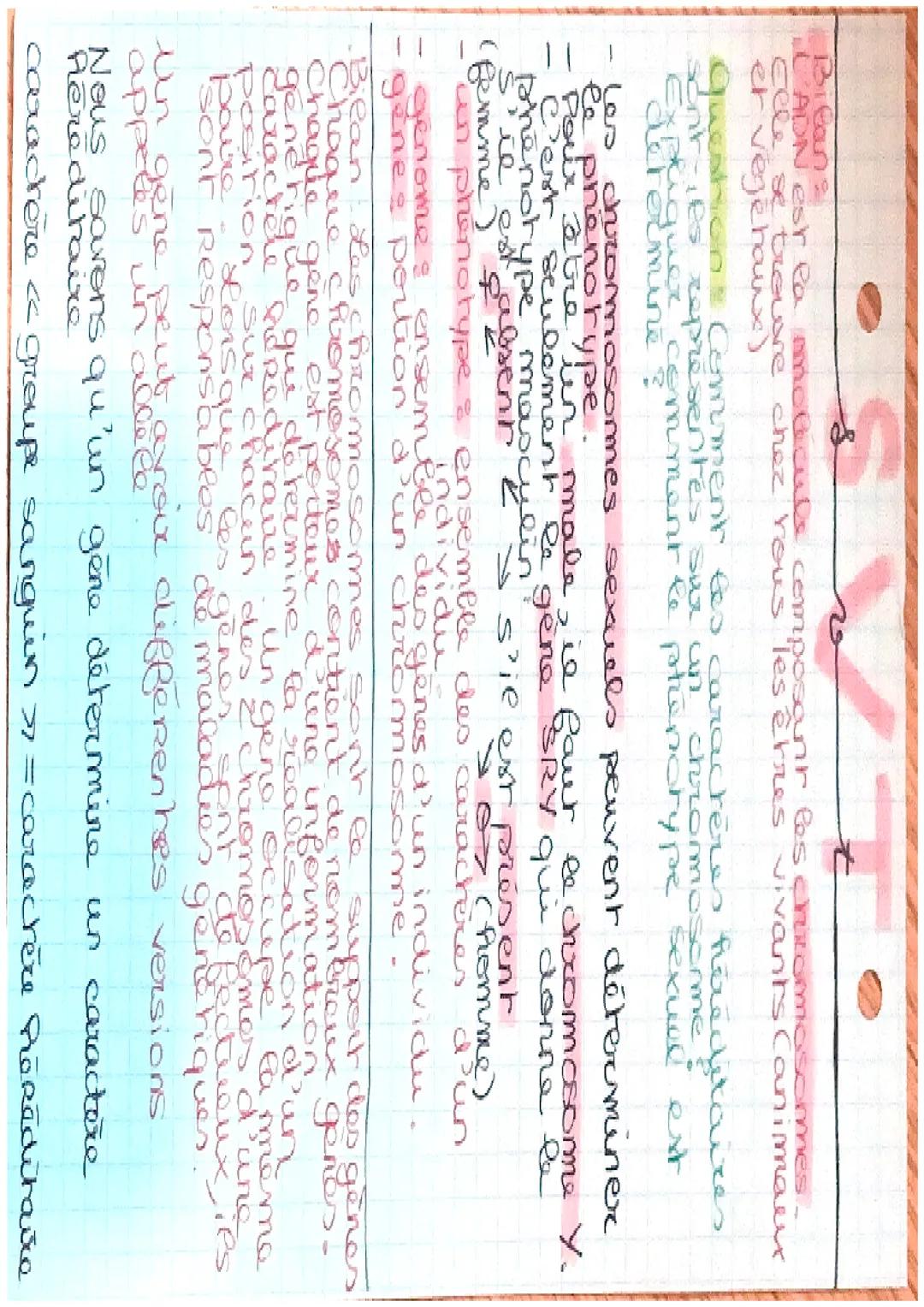 S
T
Chaque individu présente les caractères
de l'espèce avec des variations qui lui
sont propres les caractères. qui se
retrouvent dans les
