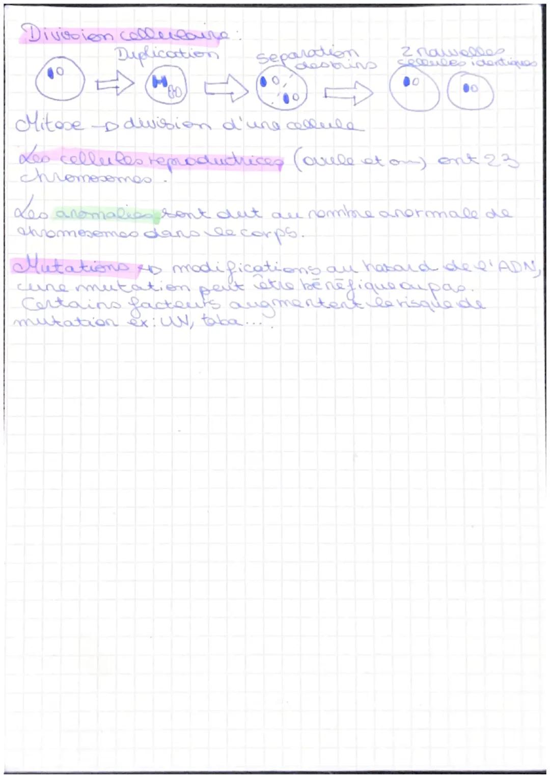 # Fiche de révisiones SUT

- Le phenotype d'un individu et l'ensemble des
caracteres qu'il elle permède.

- caractères héréditaristo que se 