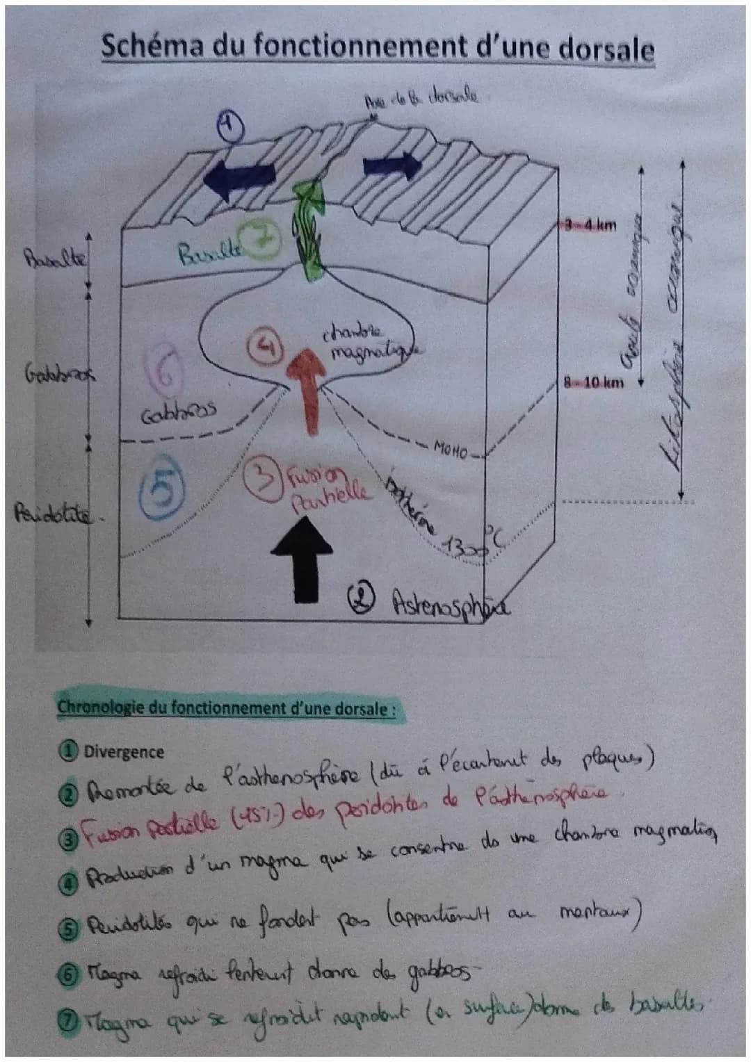 Schéma du fonctionnement d'une dorsale 
