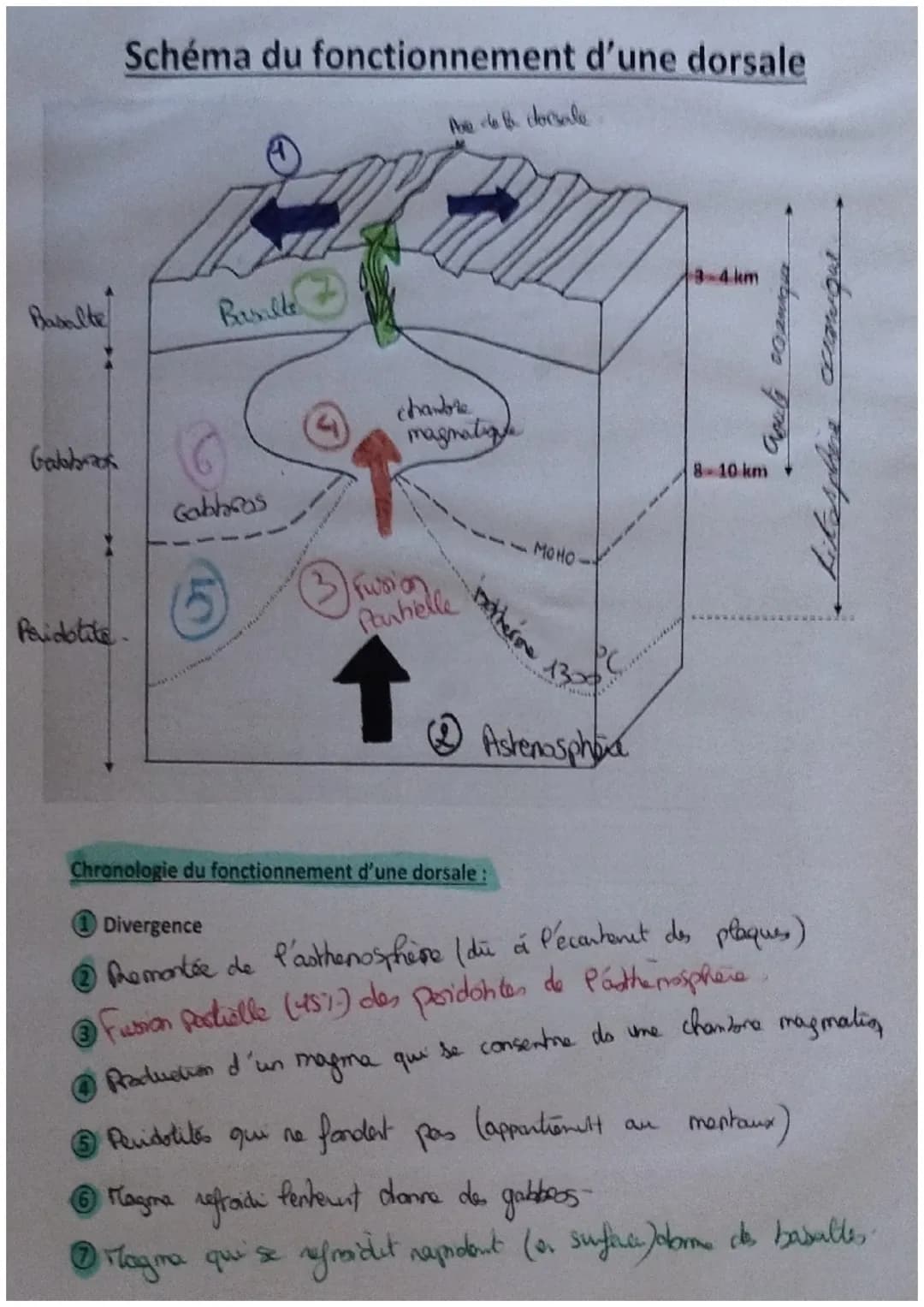 Schéma du fonctionnement d'une dorsale
te de to docute
Basalte
Basalle
Galabrook
Gabbas
Paidotite
chambre
magnation
③Fusion
Panhelle
MOHO
no