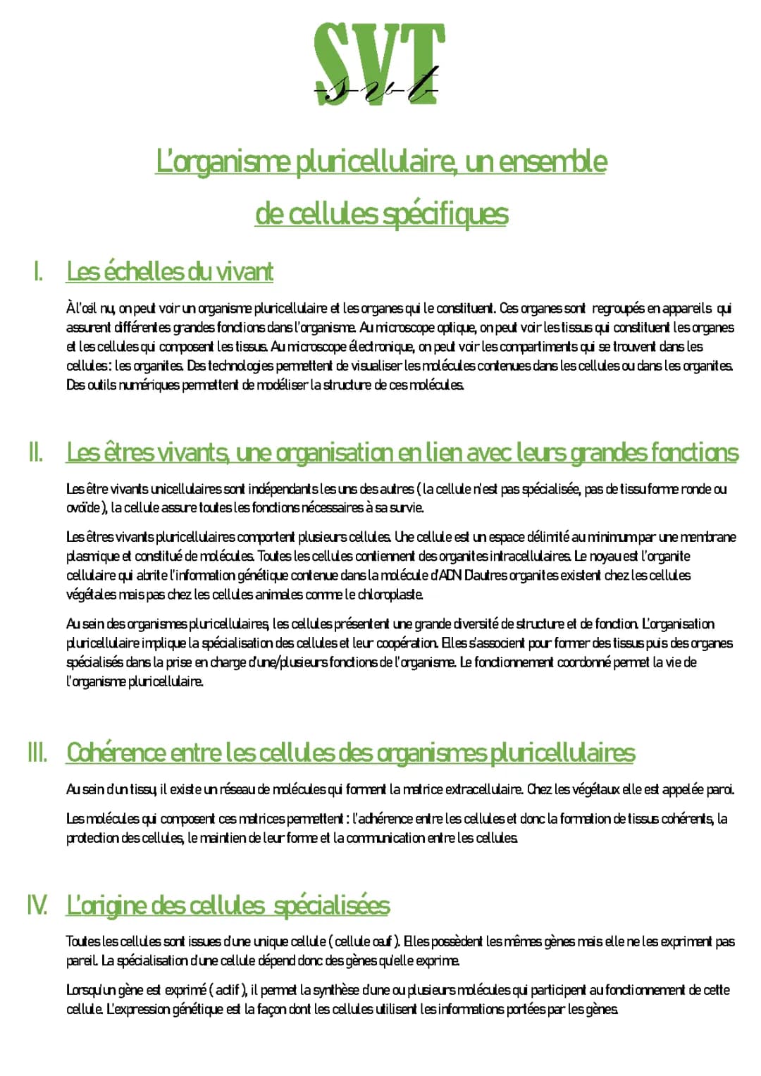 l'organisme pluricellulaires, un ensemble de cellules spécifique 