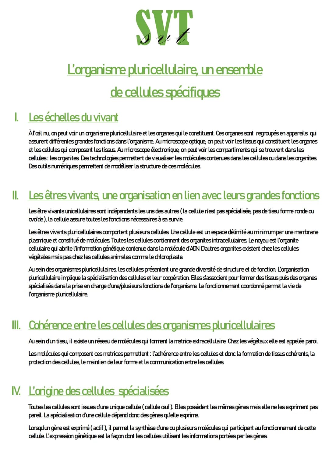 SVT
L'organisme pluricellulaire, un ensemble
de cellules spécifiques
I. Les échelles du vivant
À l'ail ny, on peut voir un organisme plurice