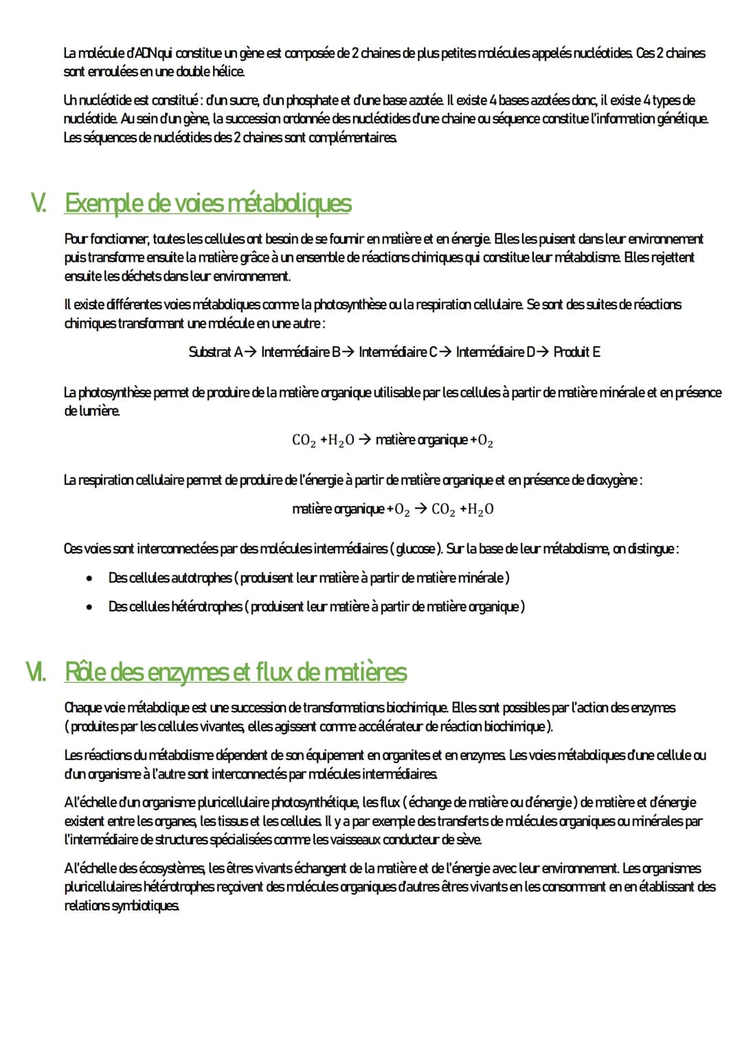 SVT
L'organisme pluricellulaire, un ensemble
de cellules spécifiques
I. Les échelles du vivant
À l'ail ny, on peut voir un organisme plurice