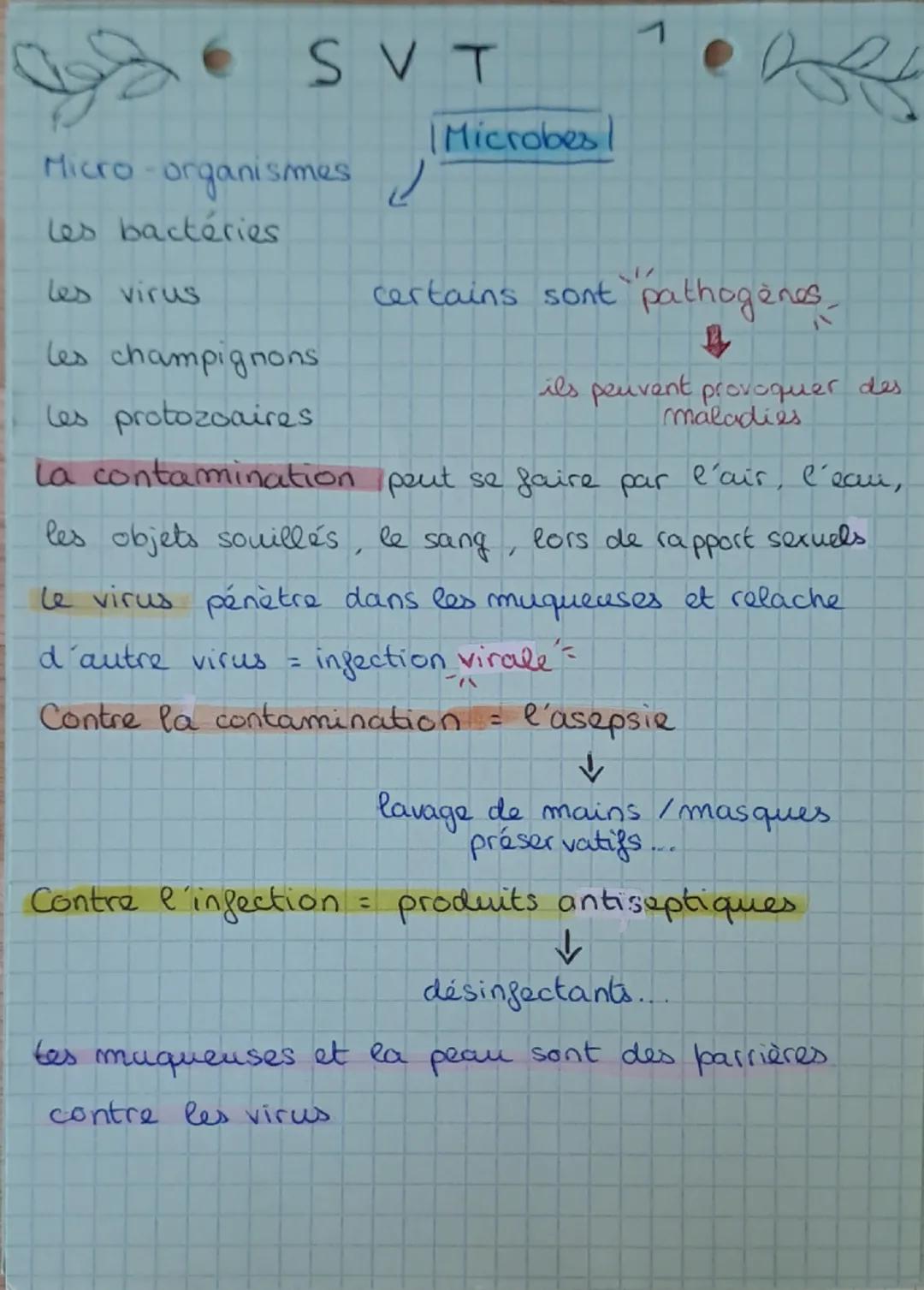 # SVT

Microbes/

Micro-organismes

Les bactéries

les virus

les champignons

les protozoaires

certains sont pathogenes

ils peuvent provo